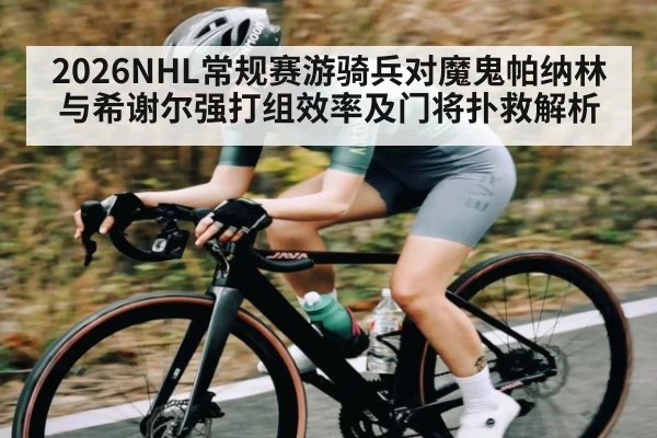 2026NHL常规赛游骑兵对魔鬼帕纳林与希谢尔强打组效率及门将扑救解析